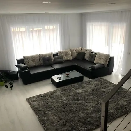 Villa Strada Alexandru Lapusneanu Timişoara
